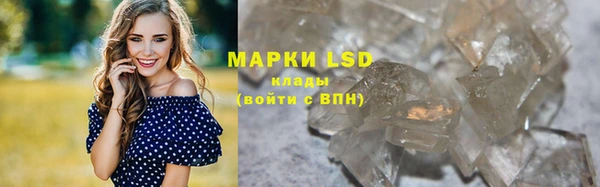гидра Алзамай