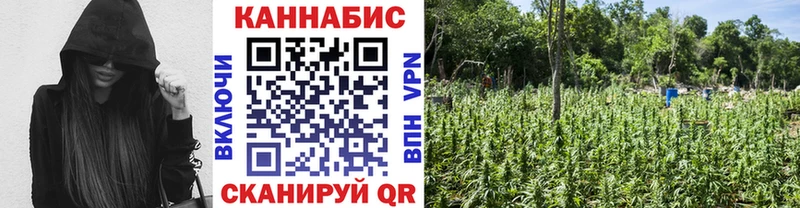 OMG онион  Воткинск  Бошки Шишки тримм  даркнет сайт 